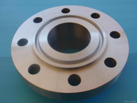 Usinagem CNC de Alta Precisão Flange com Junta Tipo Anel ANSI B16.5 à Prova de Vazamento fornecedor